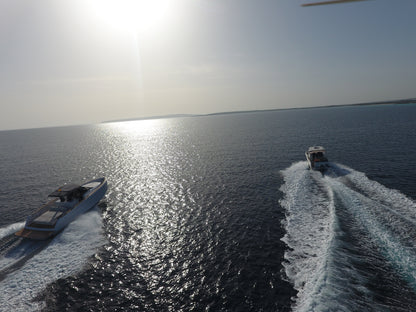 PARDO 38 | "PlayYacht"