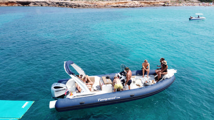 CAPELLI 775 | "VG ONE"