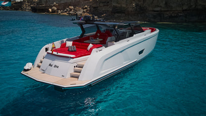 VANQUISH VQ58 | "Real Diva"