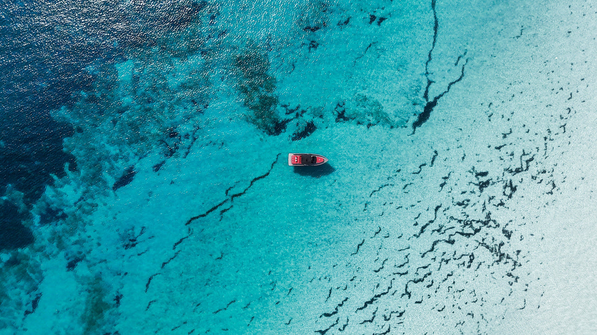 DE ANTONIO D36 | "PlayYacht IV"