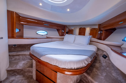 PRINCESS V65 | "Freedom"